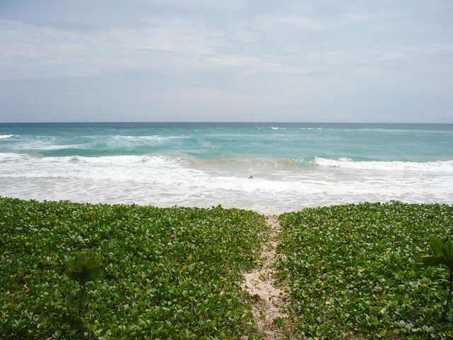 Gerlachs im Meer.jpg